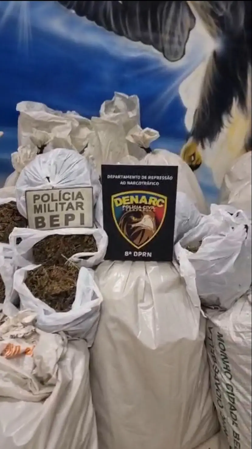 Apreensão de 268kg de maconha em Ibimirim