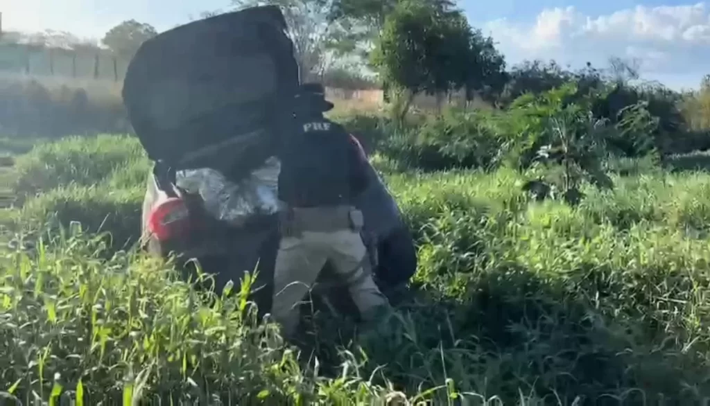 Polícia apreende "supermaconha" em Arcoverde