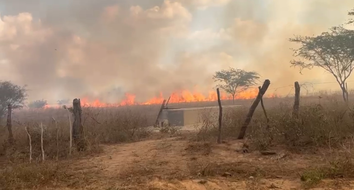 Queimadas em Buíque e Pedra