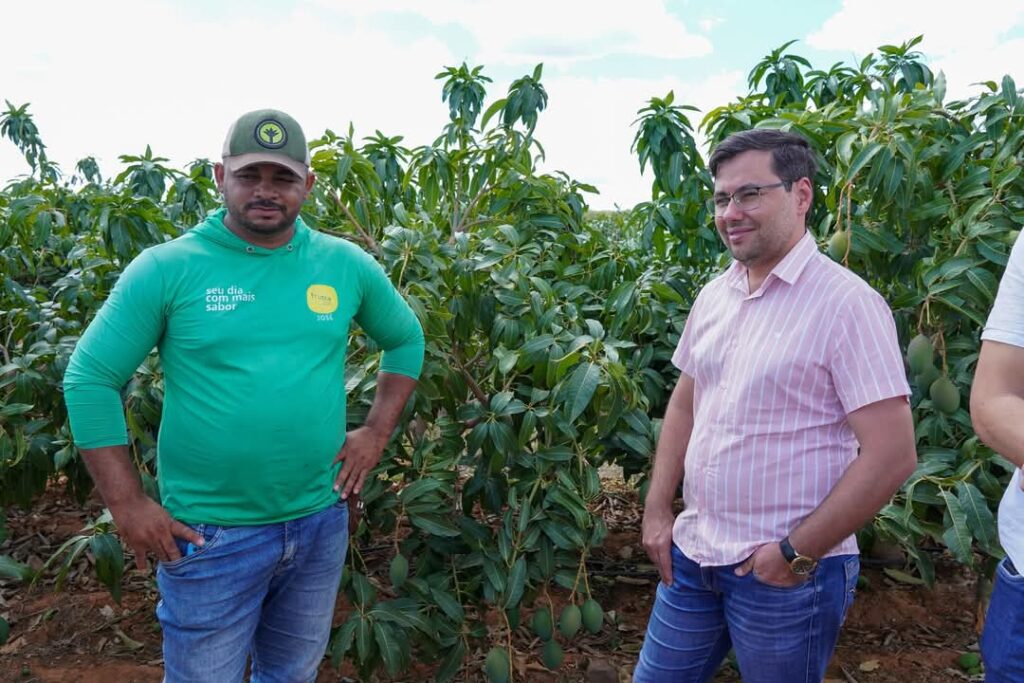 Avanços no setor agrícola em Ibimirim