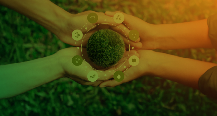 Cursos MPPE e Ecos de Pernambuco
